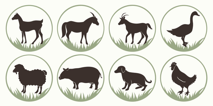 Various silhouettes of animals representing different species and their evolutionary lineage Vector