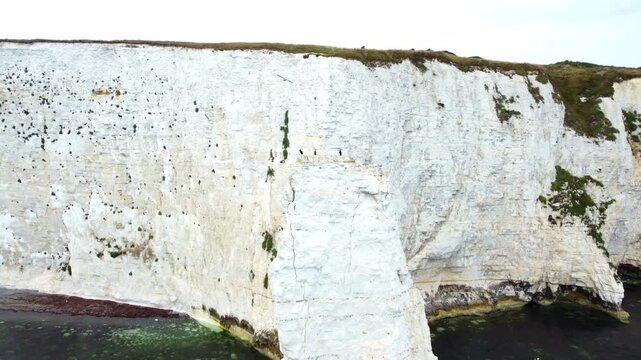 Three beautiful cormorants on the edge of a white cliff off the coast of southern England, with kayakers in the background.