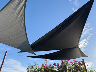Shades above colorful flowers under blue sky during sunny day