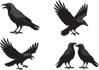 Fototapeta premium Black silhouette illustration of four ravens in different poses, flying and standing, dynamic bird design concept for wildlife, nature, education, and stock imagery use.