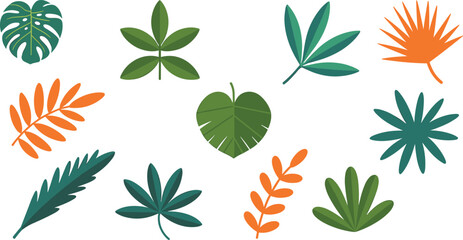 Tropical leaves vector set, colorful flat botanical foliage collection isolated on white background for nature design illustration