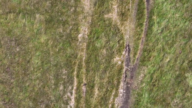 aerial view of high moorland terrain looking downward at rough grass and paths at midgley moor in west yorkshire