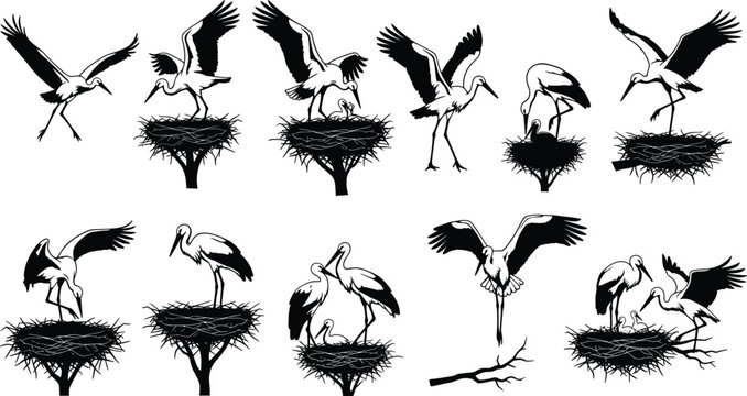 Stork bird silhouette collection, flying and nesting crane set, wildlife nature illustration, black vector bird icons bundle