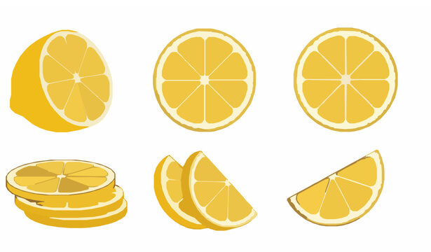 Citrus lemon slices vector set with whole half wedge and cross section isolated on white background EPS 10
Keywords: