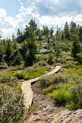 A wooden path leading through the mountain forest. Ergaki Nature Park