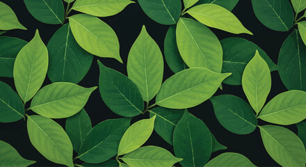 Green Leaves Pattern on Black Background © ali