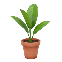 Fototapeta premium A potted plant with large green leaves sitting on a white surface