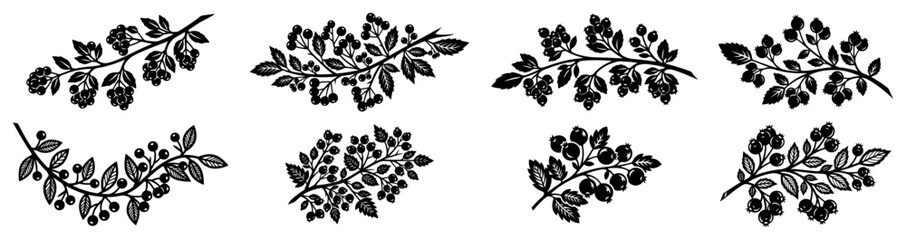 Collection of botanical branch elements with leaves and berries in decorative folk style