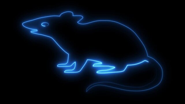 Neon Glowing Mouse Rat Icon and Symbol Animation on Black Background.