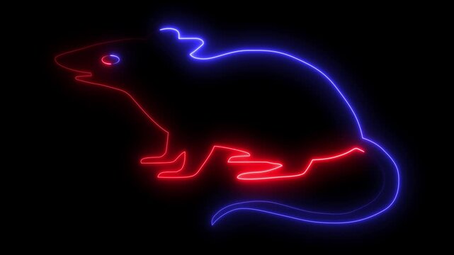 Neon Glowing Mouse Rat Icon and Symbol Animation on Black Background.