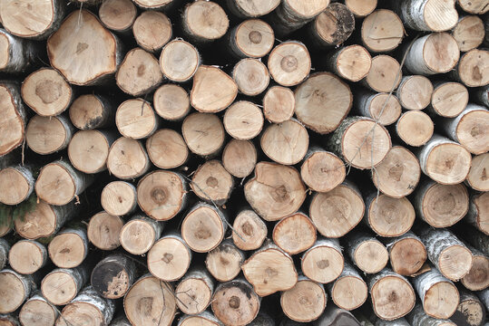 Stacked Cut Wood Logs Pattern With Natural Brown And Beige Tones