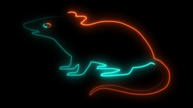 Neon Glowing Mouse Rat Icon and Symbol Animation on Black Background.
