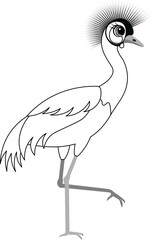 Fototapeta premium Cute zoo. Birds. Crowned crane. Coloring page template for kids. Editable vector