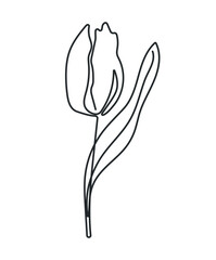 Mother's Day tulip line art with flowing continuous drawing. Elegant floral outline illustration perfect for greeting cards, posters, gifts for moms. Isolated doodle vector illustration.