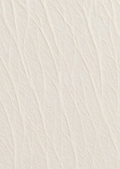 Fototapeta premium Paper texture background