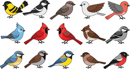 Set of common garden bird vector illustrations featuring cardinal blue jay sparrow and finch species in various natural poses on white background © Aminul
