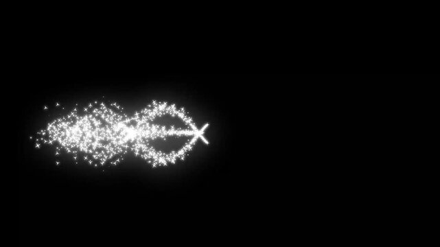 Dynamic Sparkle Burst Animation: White flying glitter particles, glowing fairy dust, and a smooth twinkle star line motion. Vibrant 4K magical light display on black screen.