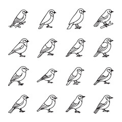 Fototapeta premium Collection of 16 Bird Line Art Illustrations Posed Differently on White Background