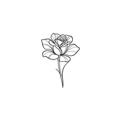 Minimalist Rose Line Art Illustration Isolated on White Background