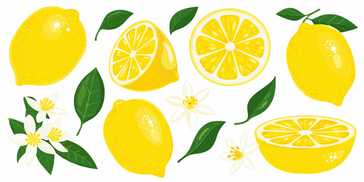 A vibrant illustration of whole and sliced lemons with blossoms and leaves
