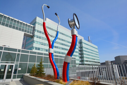 MONTREAL CANADA: Giant sculpture (Prendre le pouls) take the pulses by Cooke-Sasseville the stethoscope symbolizes the relationship of trust between physician and patient.