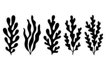 Obraz premium Seaweed silhouettes set of five marine algae clipart for coastal design