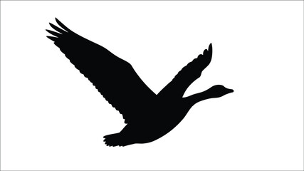 A black silhouette of a flying goose in mid air silhouette © MD