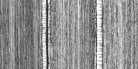 Fototapeta premium Black and white textured vertical lines with two prominent white striped columns abstract background
