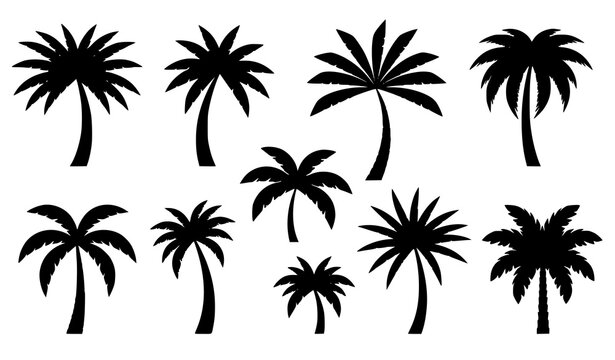 Abstract tropical palm silhouettes monochrome botanical vector set isolated on transparent background