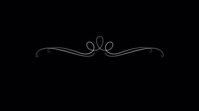 Elegant Flourish Design Element on Black Background.
