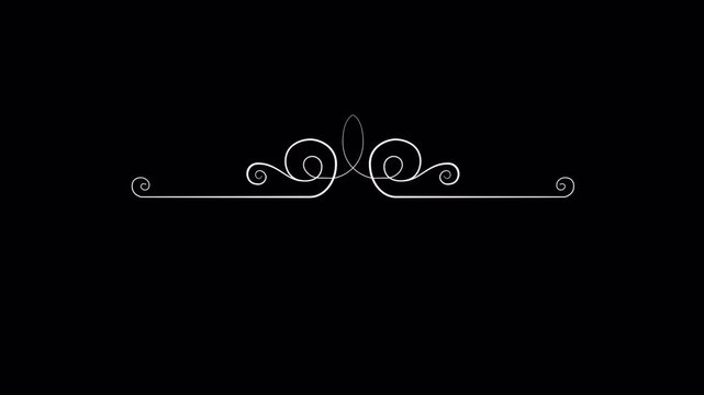 Elegant Flourish Divider Animation on Black Background for Text Separation.