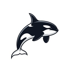 Obraz premium Majestic orca swimming in ocean waters with dynamic movement