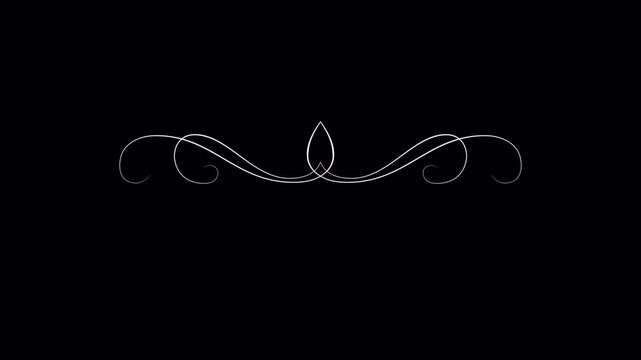 Elegant Silver Flourish Design on Black Background.