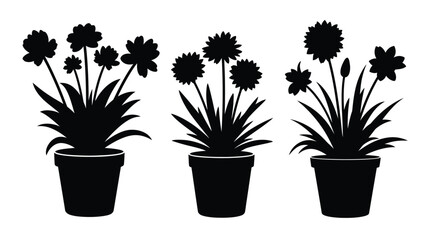 Three potted flowers in a row a striking black silhouette © MdMosharef