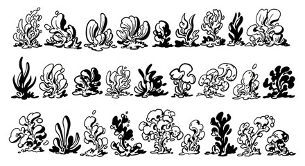 A collection of various cacti and succulents in a detailed line drawing