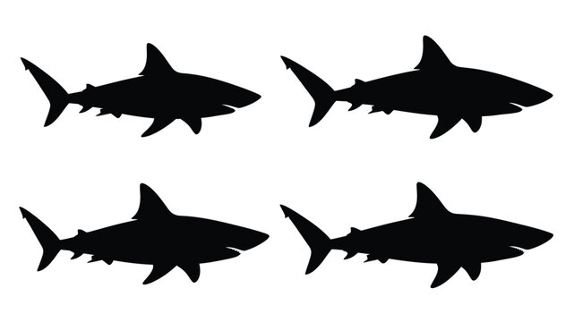 Four black shark shapes against a white background silhouette