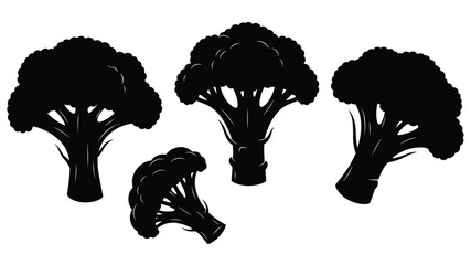 Four broccoli florets displayed as a striking black silhouette © MdMosharef