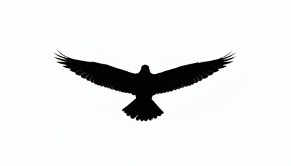 Silhouette of Majestic Hawk Soaring in Freedom and Grace
