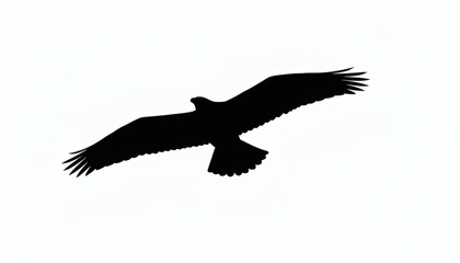 Majestic Silhouette of an Eagle Soaring High Against the Sky