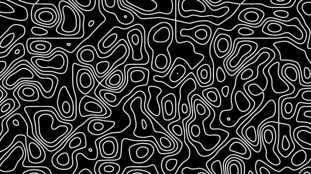  overlay motion A black and white abstract topographic map pattern