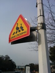 Obraz premium Triangular Geese Crossing Warning Sign Against a Clear Sky