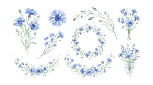 Watercolor blue wildflower field illustrations set.
