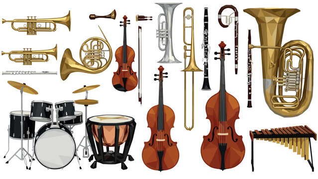 set of hand drawn classical musical instruments including string brass woodwind percussion in vector style