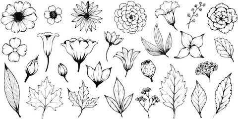 Comprehensive collection of hand-drawn botanical elements featuring a wide array of flowers leaves and buds in detailed black and white outlines