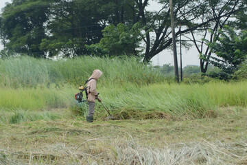A person cuts grass with a manual lawn mower