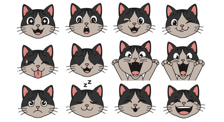 Fototapeta premium Collection of Cute Cartoon Cat Faces Expressing Various Emotions Like Happiness Sadness Surprise and Love with Detailed Expressions and Black and White Fur Patterns