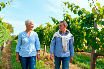 Naklejka premium Caucasian senior woman and Caucasian senior man walking together through vineyard rows, smiling at each other, enjoying outdoor activity surrounded by green grapevines