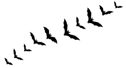 Fototapeta premium A flock of black bats flying in formation against a white background