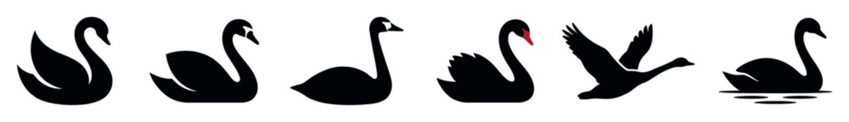 Obraz premium Set of six black swan silhouettes in various elegant poses, including swimming, flying, and floating, presented as a minimalist graphic icon collection for branding
