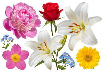 A vibrant collection of colorful flowers arranged together beautifully.